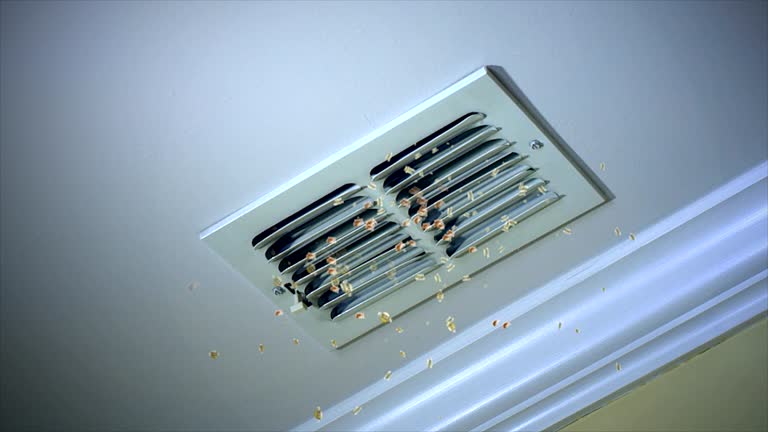 Best Affordable Duct Cleaning Services  in Augusta, GA